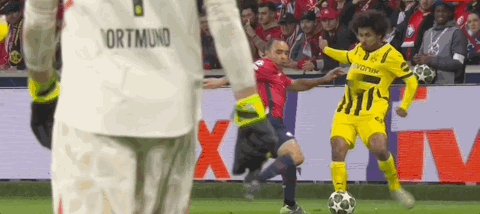 1741824279441065425.gif